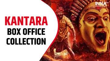 Kantara box office
