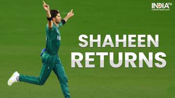 Shaheen Afridi, T20 World Cup