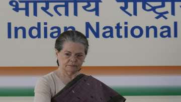 Sonia Gandhi, Congress, Gandhis, NGOs