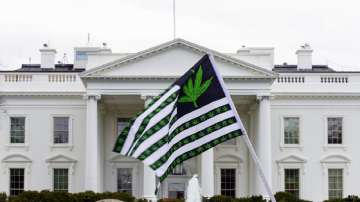 United States news, US President Joe Biden pardons thousands for simple possession of marijuana, lat