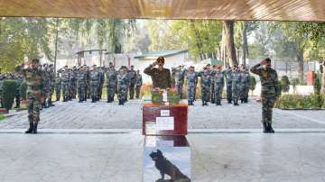  Zoom, Zoom dog, Indian Army dog Zoom, army assault dog zoom, army assault dog zoom dies, indian arm