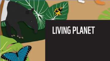 WWF's Living Planet Report (LPR) 2022 is alarming as it showed a sharp decline in the wildlife population