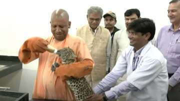Chief Minister Yogi Adityanath feeds milk to Leopard cub