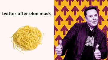 Zomato explains Elon Musk's Twitter takeover with meme