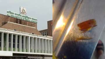 AIIMS serves 'cockroach daal' to 4-year-old patient