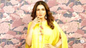 Raveena Tandon tweets about people throwing stones on Tiger