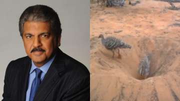 Anand Mahindra explains the essence of team work 