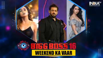 Bigg Boss 16