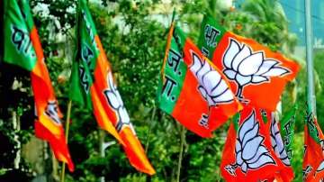 It is a herculean task to shortlist candidates for MCD polls