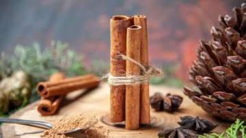 Cinnamon Health Benefits for Women
