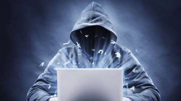 Online fraud becomes very common nowadays