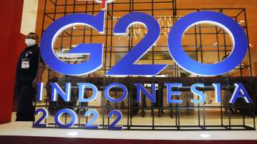 A security guard walks past a G20 sign during the 2nd G20 Joint Health and Finance Ministers Meeting ahead of the G20 leaders summit, Indonesia
