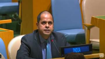 India in UNSC, India slams Pakistan, India's reply on Kashmir issue in UNSC, 