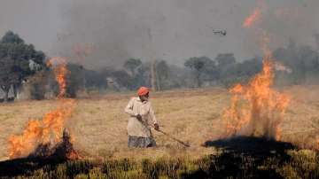 Air pollution, Air pollution in Uttar Pradesh, stubble burning cases, stubble burning cases spike, U
