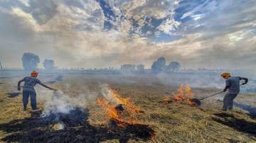 Farmers burn paddy stubble at a farm on the outskirts of Amritsar.