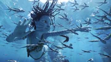 Avatar 2 has received a positive response at the box office both internationally and in India