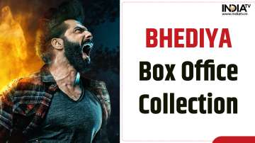 Bhediya Box Office 