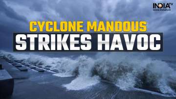 Cyclone Mandous: Scary videos of unrest sea go viral