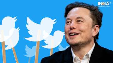 Musk, twitter