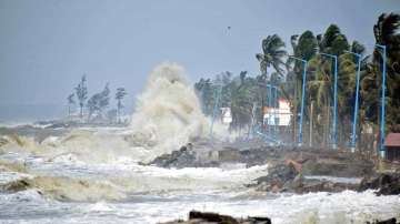 Cyclone Mandous aftermath: one dead, over 5000 hectares of crops damaged in Andhra Pradesh