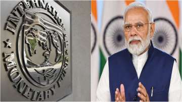IMF 'fully supports' India's G20 agenda for much more prosperous future amid global crisis