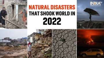 Natural disasters that hit the world hard in 2022 | DETAILS.