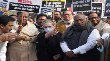 Congress MP Sonia Gandhi during a protest. 