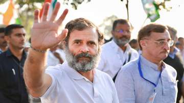 Congress leader Rahul Gandhi during Bharat Jodo Yatra, in Ujjain.