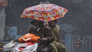 A scooterist drives amidst gusty winds and heavy rain in Chennai. 