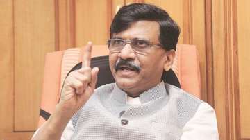 "These people have partitioned India into old and new," said Sanjay Raut hitting out at BJP.