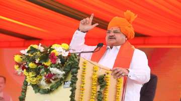 BJP president JP Nadda addressed a public rally in Rajasthan