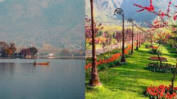 Dal Lake, Tulip Garden, Srinagar