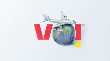 VI International