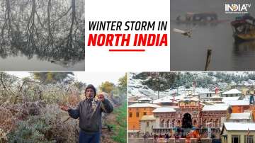 North India continues to shiver amid bone-chilling cold: These CITIES record sub-zero temperatures. 