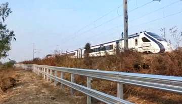 Mumbai: Metal beam fencing along the 622-kilometre stretch between Mumbai and Ahmedabad Vande Bharat Express route to protect against cattle run-overs.