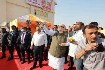 Amit Shah joins Uttarayan festivities in Gujarat.