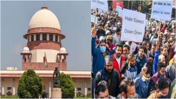 Supreme Court terms hate speech 'complete menace'