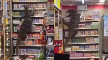 Thailand: Giant lizard-like creature enters a store