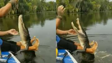 Man feeds crocodile in a lake | Viral Video