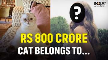 Cat worth Rs 800 cr? THIS pop-star owns it