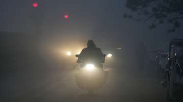 Vehicles ply on a road amid low visibility due to a thick layer of fog on a cold winter morning, in New Delhi.