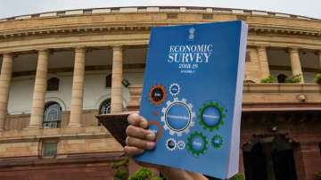 The first Economic Survey was presented to the lower House of Parliament between the years 1950 and 1951. (File Photo for representation only.)