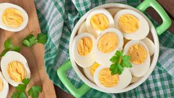 Egg Yolk vs Egg White