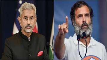  EAM Jaishankar takes indirect dig at Rahul Gandhi