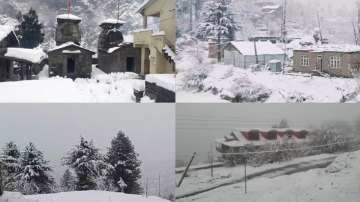 From Kashmir to Joshimath, THESE northern regions are covered under fresh snow blankets