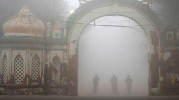 Cyclists ride on a cold and foggy morning in Lucknow, India. 