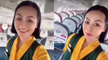 Air Hostess' Tiktok video goes viral