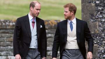 Prince William and Prince Harry have apparently at loggerheads