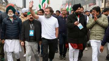 Bharat Jodo Yatra, Bharat Jodo Yatra news, Bharat Jodo Yatra latest news, Rahul Gandhi, 