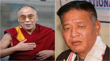 Tibetan govt-in-exile makes BIG claim, says 'China will interfere with Dalai Lama succession'  
